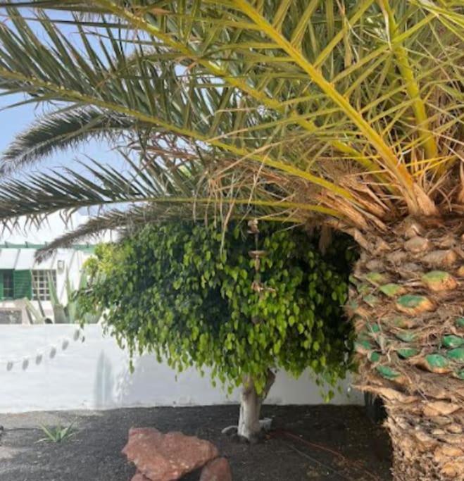 Studio In Playa Blanca Apartment ภายนอก รูปภาพ